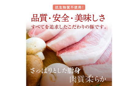 国産豚ロース切身1.2kg（120g×10枚）国産豚肉　産地直送　自社農場　脂身さっぱり肉質柔らか 送料無料 No.089