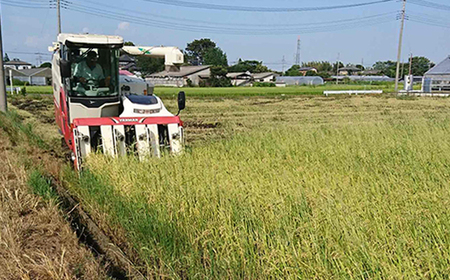 コシヒカリ 玄米10kg 埼玉県産 鴻巣市 川里 アサヒ農研 単一原料米 送料無料 No.075