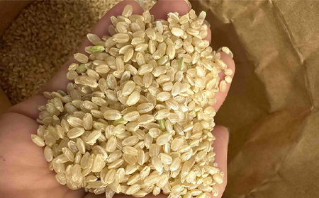 コシヒカリ 玄米10kg 埼玉県産 鴻巣市 川里 アサヒ農研 単一原料米 送料無料 No.075