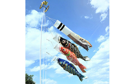 総手描き鯉のぼり「晴々」60cm鯉吹のみセット | 埼玉県鴻巣市