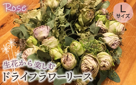 Bg 12 生花から楽しむドライフラワーリース バラ 埼玉県鴻巣市 ふるさと納税サイト ふるなび