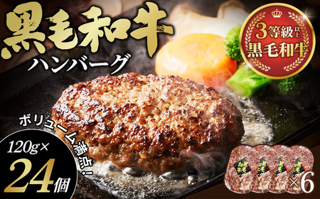 黒毛和牛ハンバーグ120g×24個セット No.441