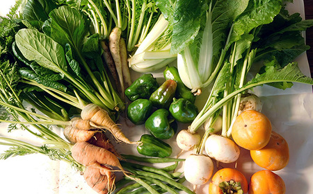 No.058 ガバレ農場の季節の有機野菜詰め合わせセット