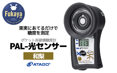 ポケット非破壊糖度計 PAL-光センサー12（和梨）　【11218-0456】