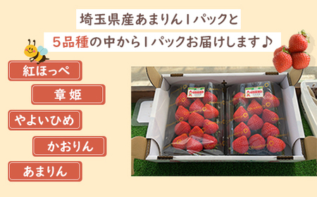 <先行受付>安藤農園 埼玉県産あまりんとフレッシュいちご 各1パック(計500g) 【11218-0711】