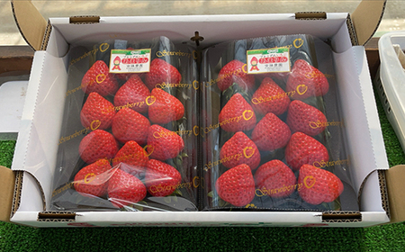 <先行受付>安藤農園 埼玉県産あまりんとフレッシュいちご 各1パック(計500g) 【11218-0711】