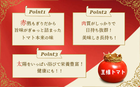 王様トマト 約2.5kg　【11218-0713】