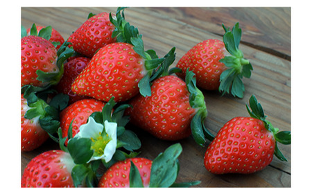 埼玉県産 あまりん 12~18粒 【11218-0689】 安藤農園