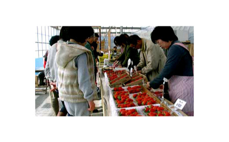 埼玉県産 あまりん 12~18粒 【11218-0689】 安藤農園