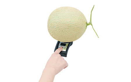 ポケット非破壊糖度計 PAL-光センサー30（メロン）　【11218-0722】