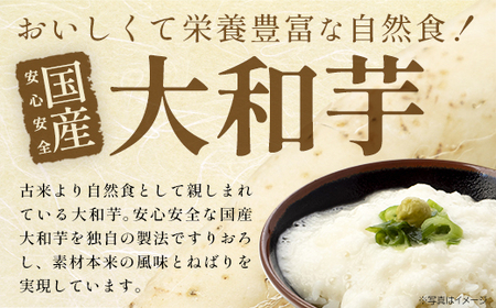 ＜国産大和芋使用＞冷凍大和芋とろろセット 40パック　【11218-0745】とろろ　小分け