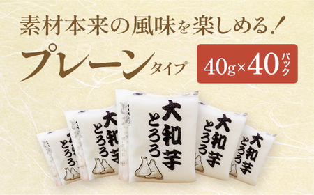 ＜国産大和芋使用＞冷凍大和芋とろろセット 40パック　【11218-0745】とろろ　小分け