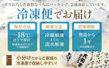 ＜国産大和芋使用＞冷凍大和芋とろろセット 40パック　【11218-0745】とろろ　小分け