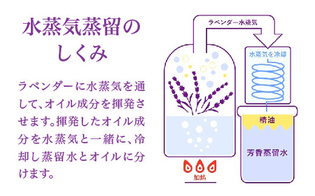 ピーズルーツ ラベンダーハンドソープ 1本　【11218-0821】