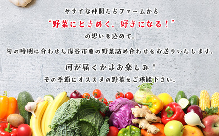 季節のカラフルなヤサイBOX（8～10種類）　【11218-0770】