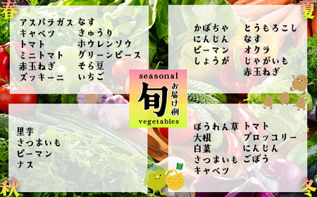 季節のカラフルなヤサイBOX（8～10種類）　【11218-0770】