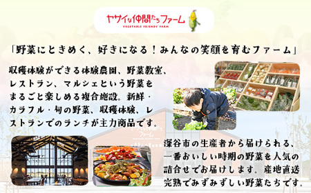 季節のカラフルなヤサイBOX（8～10種類）　【11218-0770】