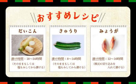 ぬか床 ビール酵母入り 1.2kg×2パック 【11218-0848】