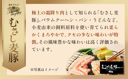 (絶品)深谷牛×むさし麦豚 贅沢ハンバーグ 140g×5個 【11218-0887】