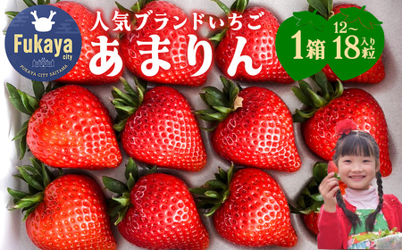 【埼玉県】人気ブランドいちご「あまりん」1箱　12粒または15粒または18粒（収穫状況により変更あり）　【11218-0943】