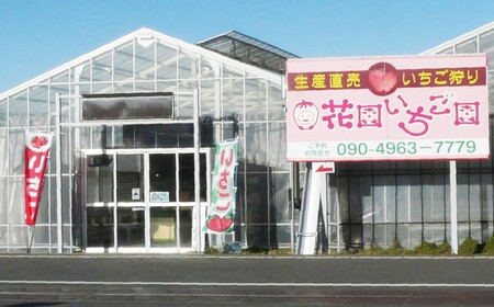 【埼玉県ブランドいちご】あまりん＆べにたまorかおりん　2種類食べ比べプレミアムペアセット！！（各種1箱／計2箱　1箱あたり12～18粒）　【11218-0944】