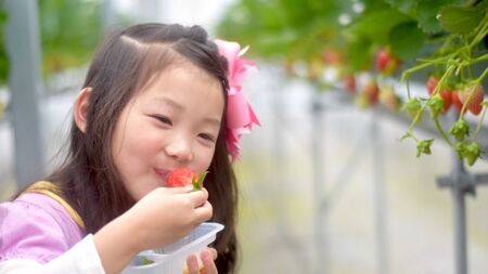 【埼玉県ブランドいちご】あまりん＆べにたまorかおりん　2種類食べ比べプレミアムペアセット！！（各種1箱／計2箱　1箱あたり12～18粒）　【11218-0944】
