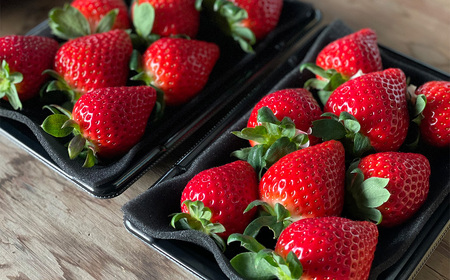 埼玉県産 贈答用 あまりん(2パック入り)【11218-0871】 木口農園