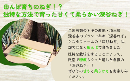 <先行予約>煮てよし、焼いてよし!甘さがギュッと!深谷ねぎ 4kg 【11218-0240】