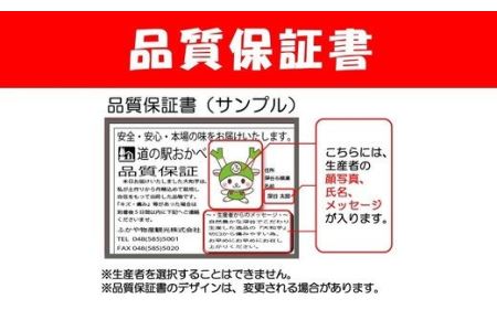 産地直送深谷ねぎ5kg(土付き) 【11218-0242】