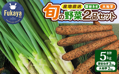 深谷ねぎ3kg・大和芋2kgセット（土付き）　【11218-0243】