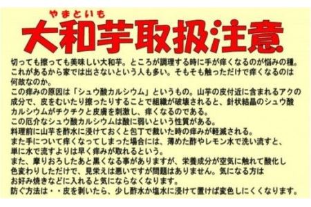 深谷ねぎ3kg・大和芋2kgセット（土付き）　【11218-0243】
