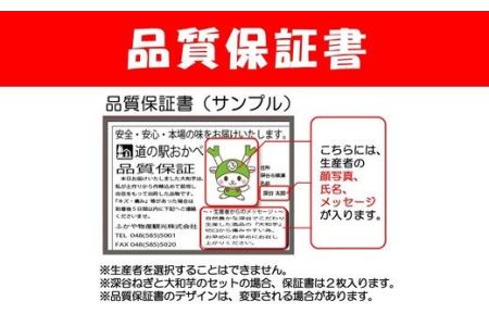 深谷ねぎ3kg・大和芋2kgセット（土付き）　【11218-0243】