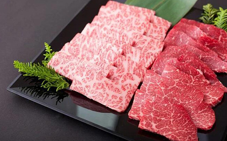 A5・A4ランク深谷牛　サーロイン＆赤身ステーキ詰合せ　【11218-0047】