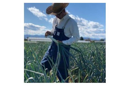 ＜先行予約＞【6・7月出荷】農家直送！とうもろこし（ゴールドラッシュ）10本箱詰め　【11218-0293】