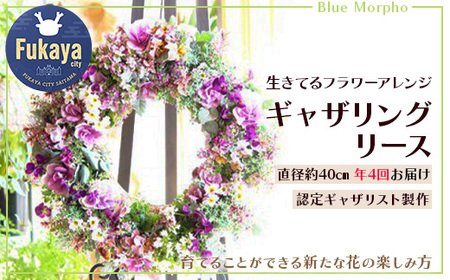 四季折々 年４回届く 生きてるフラワーアレンジギャザリングリース　【11218-0104】