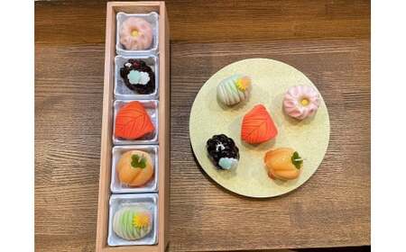 季節の上生菓子5種 【11218-0315】