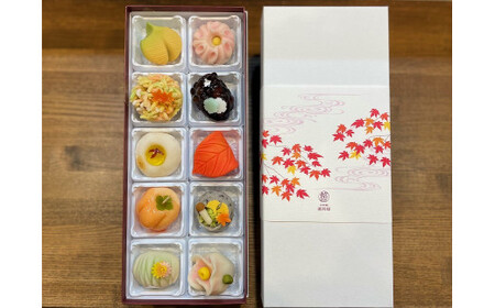 季節の上生菓子 10個セット 【11218-0110】