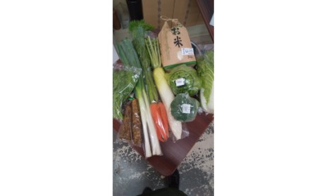 深谷農産品（お米・野菜）セット　【11218-0395】