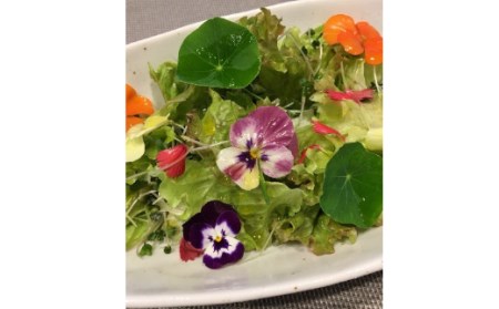 エディブルフラワー　1パック（季節のお花30～40輪）　【11218-0398】