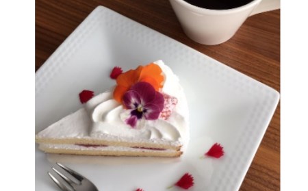 エディブルフラワー　1パック（季節のお花30～40輪）　【11218-0398】