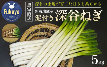 JAふかや 農家直送 深谷ねぎ泥付き5kg(保存袋入り) 【11218-0412】