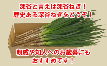 JAふかや 農家直送 深谷ねぎ泥付き5kg(保存袋入り) 【11218-0412】