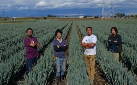 土付き深谷ネギ 10kg 【11218-0538】