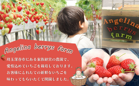 Angelina berrys farm あまりんの2パック入り箱詰めいちご　【11218-0540】