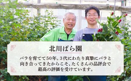 ＜配送エリア限定・着日指定必須＞ 生産農家直送 バラ 新鮮 花束 赤 約11～13本 バラ 薔薇 ローズ 花束 埼玉県 上尾市 