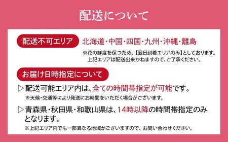 ＜配送エリア限定・着日指定必須＞ 生産農家直送 バラ 新鮮 花束 赤 約26～30本 埼玉県 上尾市