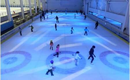 埼玉アイスアリーナ　スケート滑走無料ペア招待券【体験チケット アイススケート スケートリンク スポーツ 遊び 子連れ 子供 友人 お出かけ 休日 スケート ペアチケット デート 体験 ペア】