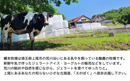 榎本牧場のこだわり和風ジェラートセット 6個 | 埼玉県 上尾市 アイス スイーツ ジェラート