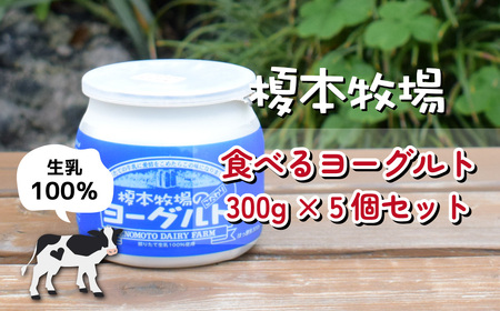 榎本牧場の食べるヨーグルト300g×5個セット | 埼玉県 上尾市 飲むヨーグルト ヨーグルト 乳 食べるヨーグルト  ヨーグルト 乳 ヨーグルト 乳 乳製品 ヨーグルト 乳 生乳100% ヨーグルト 乳 おやつ ヨーグルト 乳 朝食 ヨーグルト 乳 ヨーグルトセット 乳製品 ヨーグルト 乳セット ヨーグルト 乳 ヘルシー  デザート ヨーグルト 乳 スイーツ ギフト 国産 新鮮 無添加 搾りたて こだわり生乳 健康 