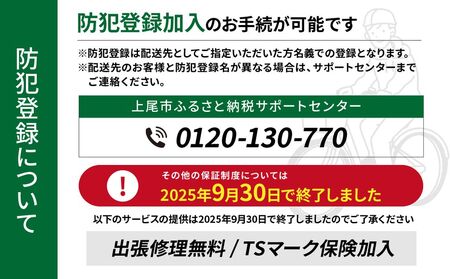 自転車 ブリヂストン アルミーユ 【AM43T6】24インチ 3段変速 オートライト モデル【ツケ消しTXサファイヤブルー】 自転車